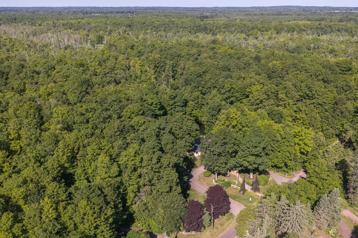 High aerial drone photograph showing the full extent of a wooded Heritage Road property and its tree canopy. RCG Canada real estate photography