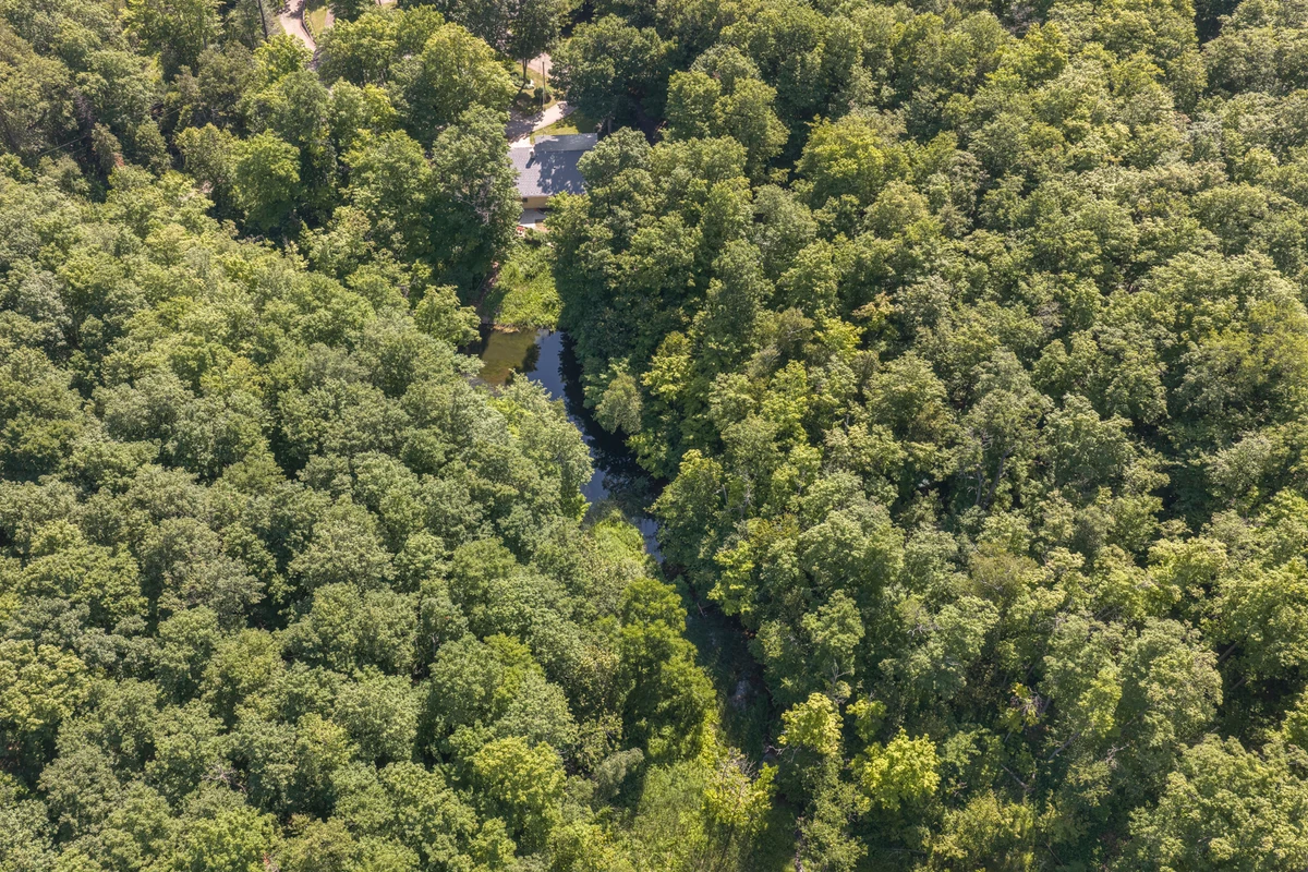 Aerial drone photograph over the wooded ravine and creek bordering a Heritage Road estate property. RCG Canada real estate photography